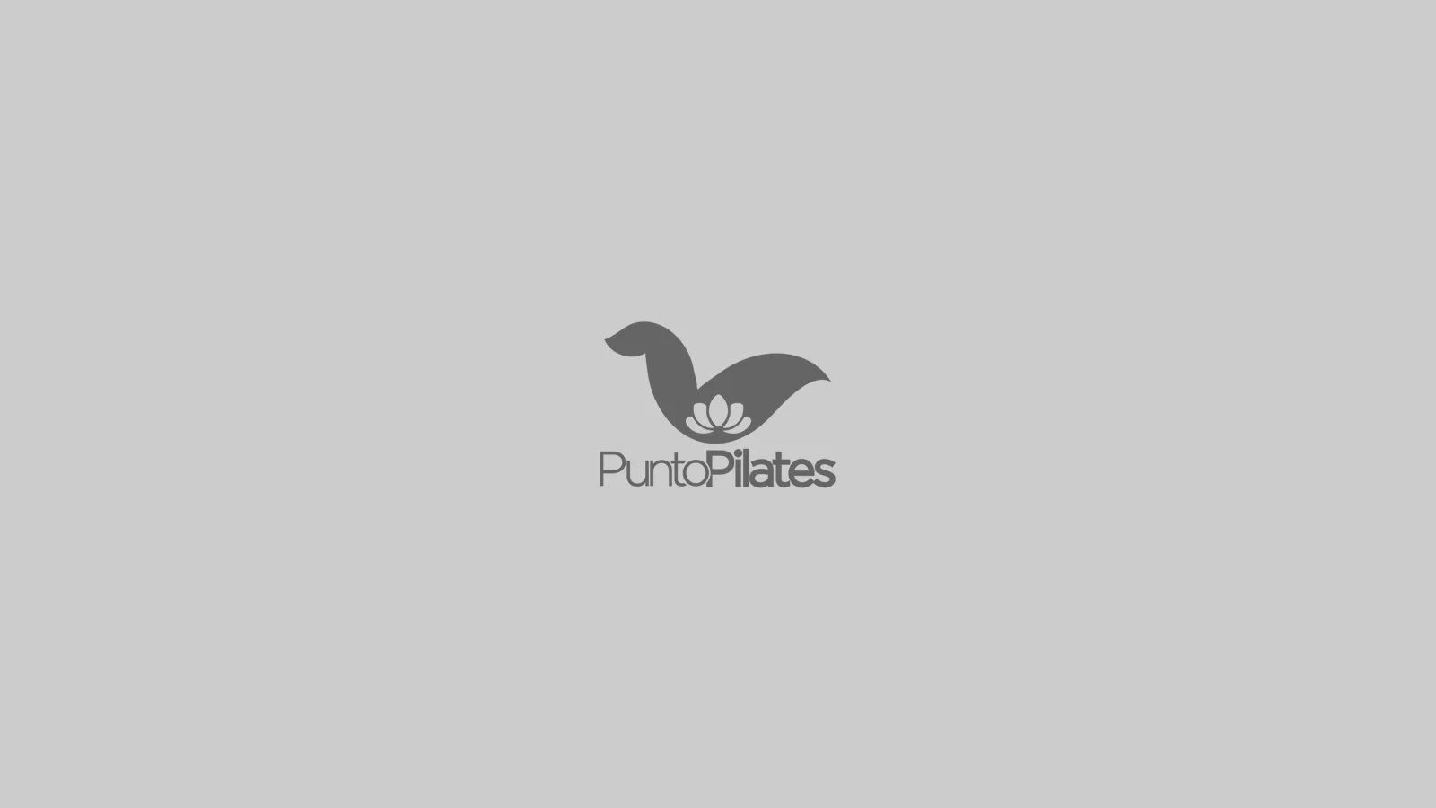 Punto Pilates - Blog